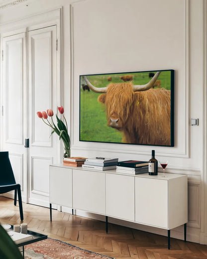 Scottish Highland Cattle I by Alan Majchrowicz. shown as a framed stretched canvas in a living room above a console. Available as a archival giclee rolled canvas, fine art paper, or poster print. SKU 52301i.