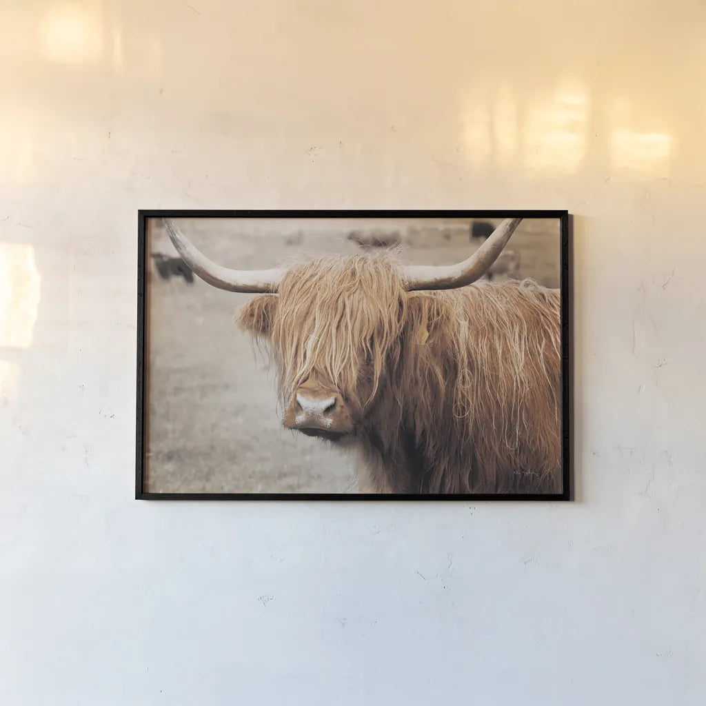 Scottish Highland Cattle I Neutral by Alan Majchrowicz. shown as a paper print in a black flame. Available as a archival giclee rolled canvas, fine art paper, or poster print. SKU 53120i.