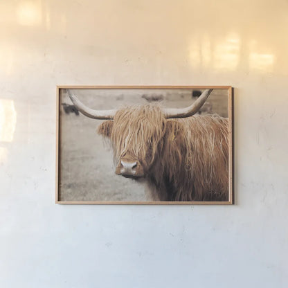 Scottish Highland Cattle I Neutral by Alan Majchrowicz. shown as a paper print in a natural frame. Available as a archival giclee rolled canvas, fine art paper, or poster print. SKU 53120i.