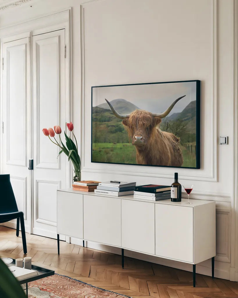 Scottish Highland Cattle II by Alan Majchrowicz. shown as a framed stretched canvas in a living room above a console. Available as a archival giclee rolled canvas, fine art paper, or poster print. SKU 52302i.
