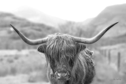 Scottish Highland Cattle III Neutral Crop by Alan Majchrowicz. SKU 68383i. Archival Giclee Fine art print for wall decor.