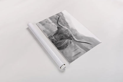 Scottish Highland Cattle III Neutral Crop by Alan Majchrowicz. shown as a rolled paper print. Available as archival giclee rolled canvas, fine art paper, or poster print. SKU 68383i.