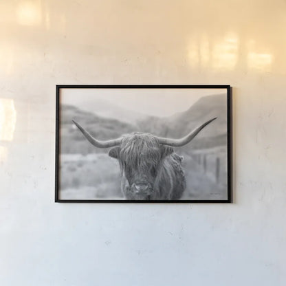 Scottish Highland Cattle III Neutral Crop by Alan Majchrowicz. shown as a paper print in a black flame. Available as a archival giclee rolled canvas, fine art paper, or poster print. SKU 68383i.