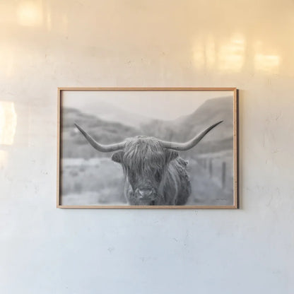 Scottish Highland Cattle III Neutral Crop by Alan Majchrowicz. shown as a paper print in a natural frame. Available as a archival giclee rolled canvas, fine art paper, or poster print. SKU 68383i.