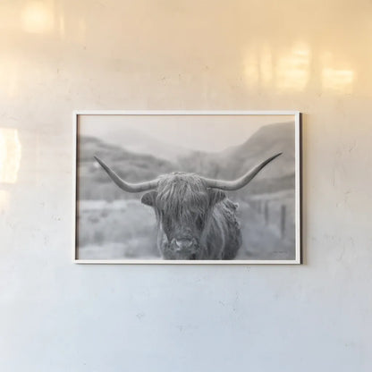 Scottish Highland Cattle III Neutral Crop by Alan Majchrowicz. shown as a paper print in a white frame. Available as a archival giclee rolled canvas, fine art paper, or poster print. SKU 68383i.