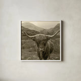 Scottish Highland Cattle III Sepia by Alan Majchrowicz. Shown in a crisp white glass frame for a clean and minimalist style. Available as an archival giclee rolled canvas, fine art paper, or poster print. SKU 57699a.