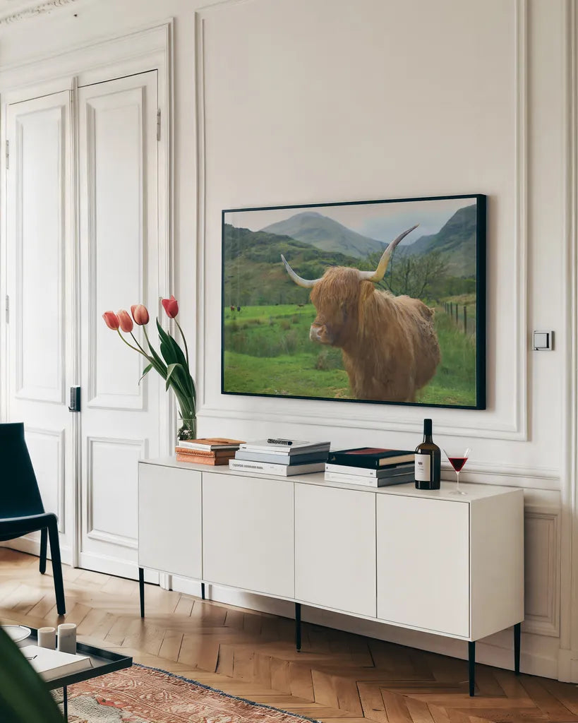 Scottish Highland Cattle IV by Alan Majchrowicz. shown as a framed stretched canvas in a living room above a console. Available as a archival giclee rolled canvas, fine art paper, or poster print. SKU 52304i.
