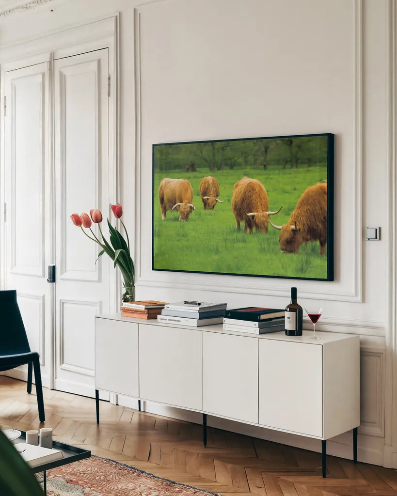 Scottish Highland Cattle IX by Alan Majchrowicz. shown as a framed stretched canvas in a living room above a console. Available as a archival giclee rolled canvas, fine art paper, or poster print. SKU 52309i.