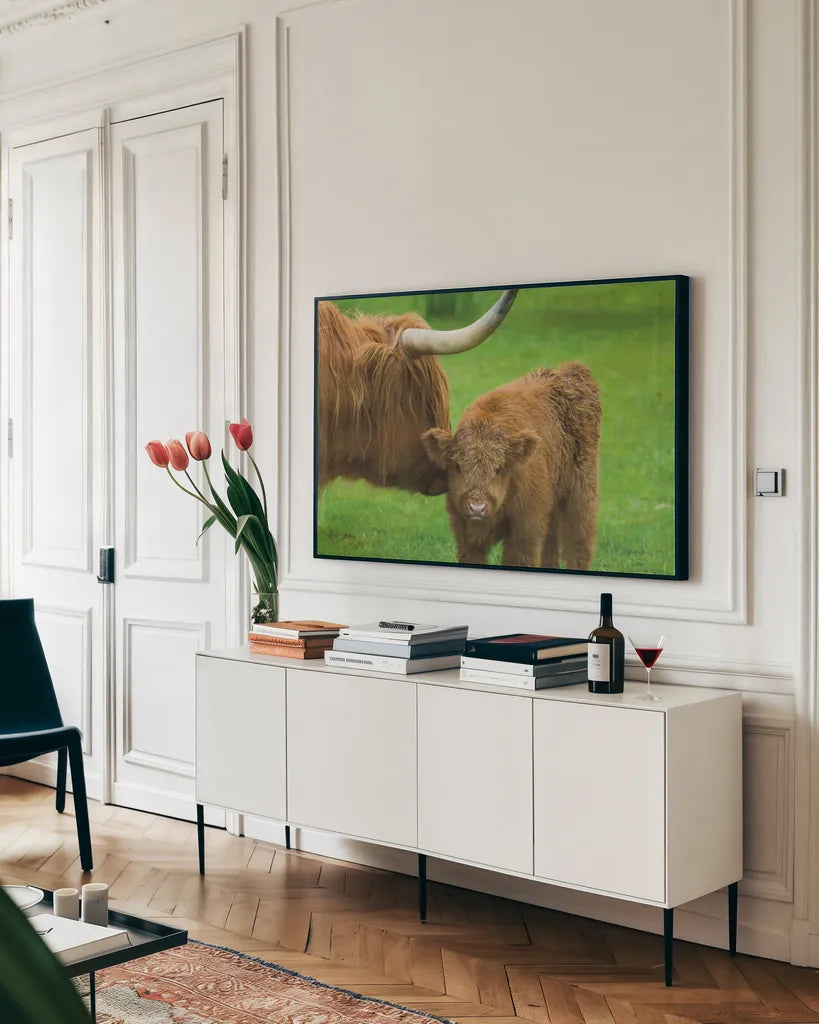 Scottish Highland Cattle VII by Alan Majchrowicz. shown as a framed stretched canvas in a living room above a console. Available as a archival giclee rolled canvas, fine art paper, or poster print. SKU 52307i.