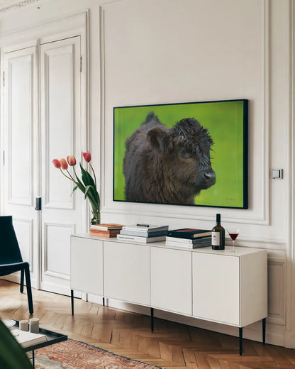 Scottish Highland Cattle XI by Alan Majchrowicz. shown as a framed stretched canvas in a living room above a console. Available as a archival giclee rolled canvas, fine art paper, or poster print. SKU 52311i.