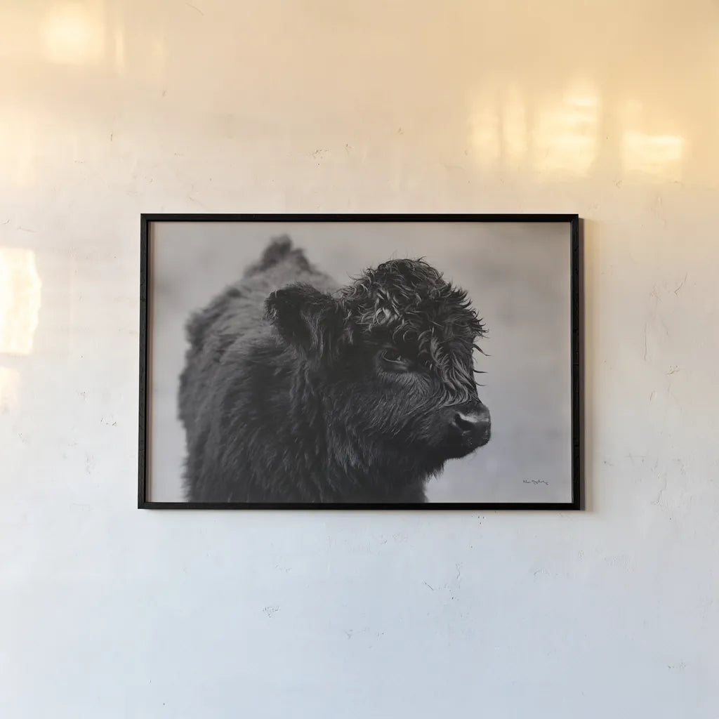 Scottish Highland Cattle XI BW by Alan Majchrowicz. shown as a paper print in a black flame. Available as a archival giclee rolled canvas, fine art paper, or poster print. SKU 54940i.