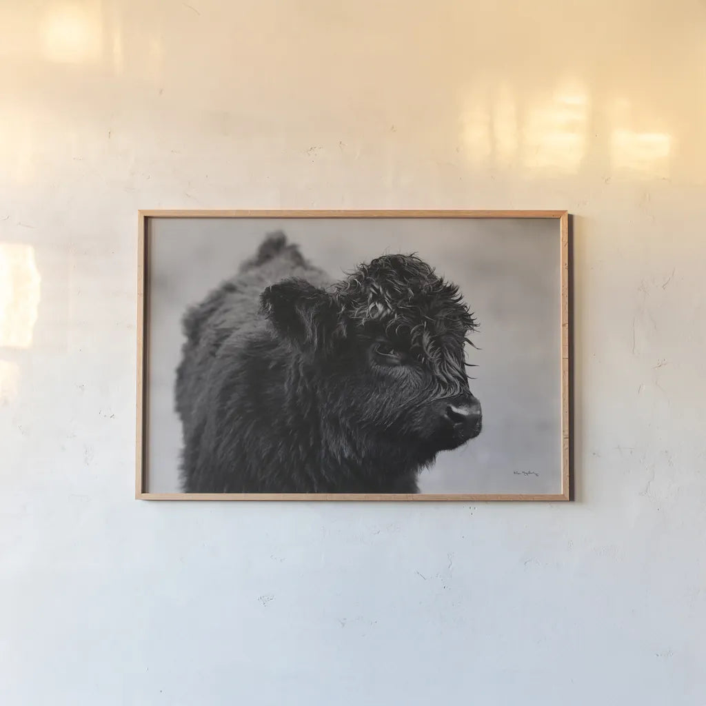 Scottish Highland Cattle XI BW by Alan Majchrowicz. shown as a paper print in a natural frame. Available as a archival giclee rolled canvas, fine art paper, or poster print. SKU 54940i.