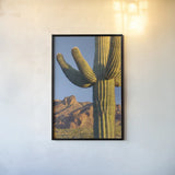 Sentinel by Alan Majchrowicz. shown as a paper print in a black flame. Available as a archival giclee rolled canvas, fine art paper, or poster print. SKU 84037h.