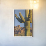 Sentinel by Alan Majchrowicz. shown as a paper print in a white frame. Available as a archival giclee rolled canvas, fine art paper, or poster print. SKU 84037h.