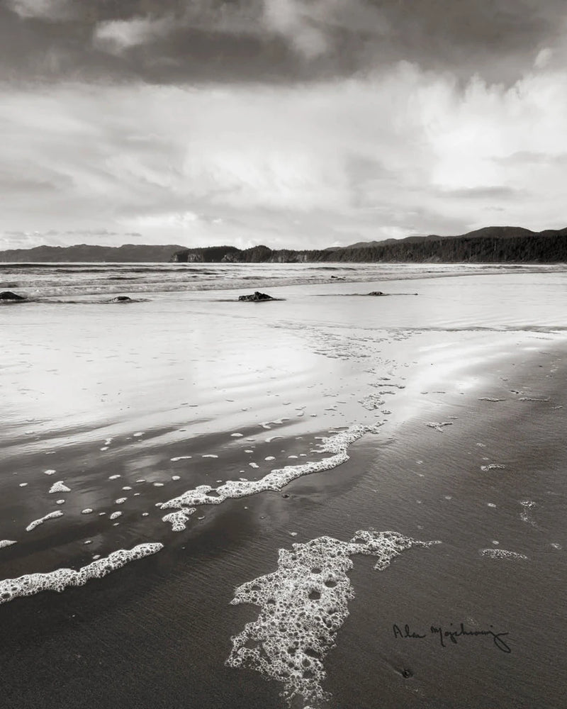 Shi Shi Beach Low Tide II Crop by Alan Majchrowicz