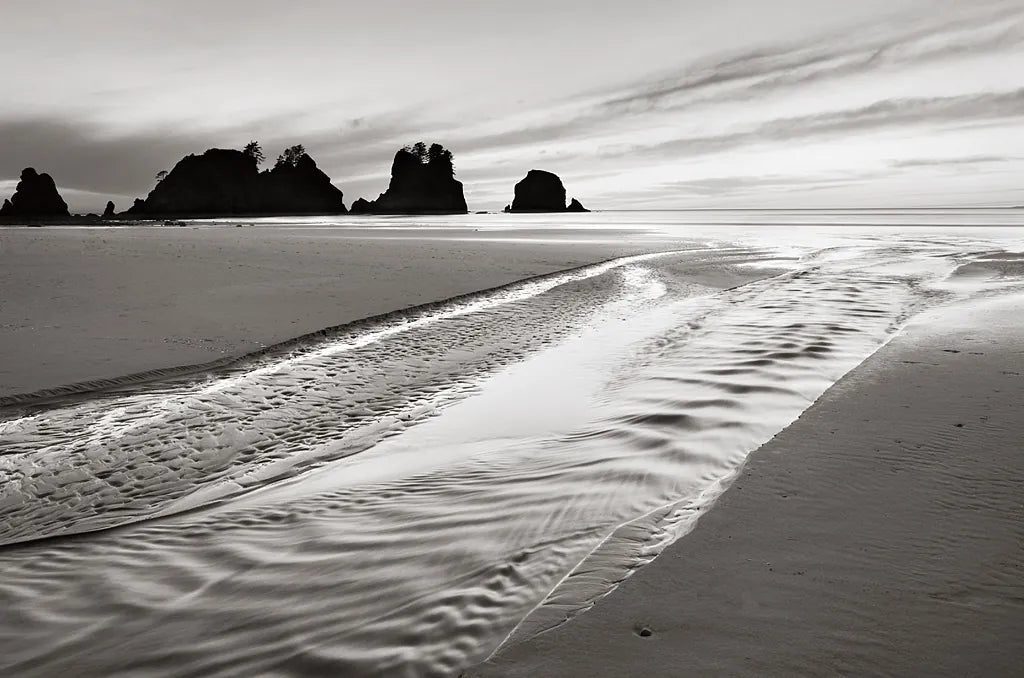 Shi Shi Point of Arches by Alan Majchrowicz. SKU 11327i. Archival Giclee Fine art print for wall decor.