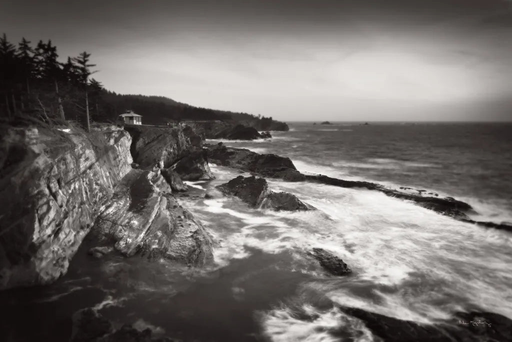 Shore Acres State Park by Alan Majchrowicz. SKU 43960i. Archival Giclee Fine art print for wall decor.