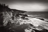 Shore Acres State Park by Alan Majchrowicz. SKU 43960i. Archival Giclee Fine art print for wall decor.