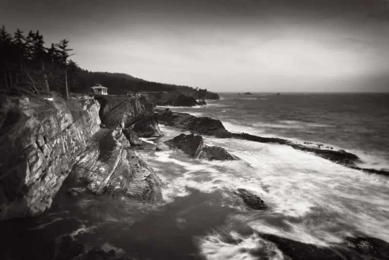 Shore Acres State Park by Alan Majchrowicz. SKU 43960i. Archival Giclee Fine art print for wall decor.
