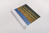 Single Saguaro by Alan Majchrowicz. shown as a rolled paper print. Available as archival giclee rolled canvas, fine art paper, or poster print. SKU 84038h.