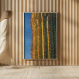 Single Saguaro by Alan Majchrowicz. shown as over sized large wall art. Available as an archival giclee rolled canvas, fine art paper, or poster print. SKU 84038h.