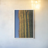 Single Saguaro by Alan Majchrowicz. shown as a paper print in a white frame. Available as a archival giclee rolled canvas, fine art paper, or poster print. SKU 84038h.