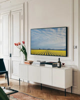 Skagit Valley Daffodils by Alan Majchrowicz. shown as a framed stretched canvas in a living room above a console. Available as a archival giclee rolled canvas, fine art paper, or poster print. SKU 36205i.