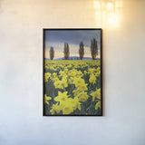 Skagit Valley Daffodils I by Alan Majchrowicz. shown as a paper print in a black flame. Available as a archival giclee rolled canvas, fine art paper, or poster print. SKU 46212h.