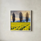 Skagit Valley Daffodils II by Alan Majchrowicz. Shown in a crisp white glass frame for a clean and minimalist style. Available as an archival giclee rolled canvas, fine art paper, or poster print. SKU 46213a.