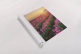 Skagit Valley Tulips II by Alan Majchrowicz. shown as a rolled paper print. Available as archival giclee rolled canvas, fine art paper, or poster print. SKU 46181h.
