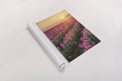 Skagit Valley Tulips II by Alan Majchrowicz. shown as a rolled paper print. Available as archival giclee rolled canvas, fine art paper, or poster print. SKU 46181h.