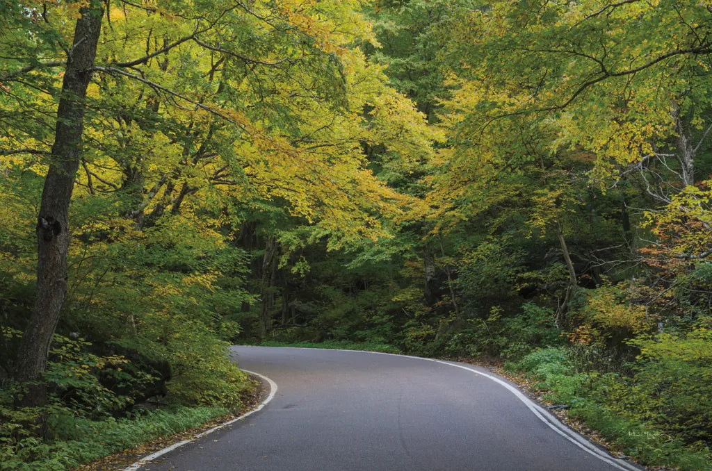 Smugglers Notch Road by Alan Majchrowicz. SKU 62467i. Archival Giclee Fine art print for wall decor.