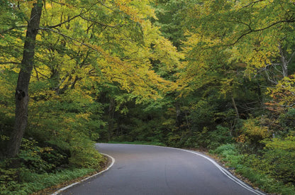 Smugglers Notch Road by Alan Majchrowicz. SKU 62467i. Archival Giclee Fine art print for wall decor.