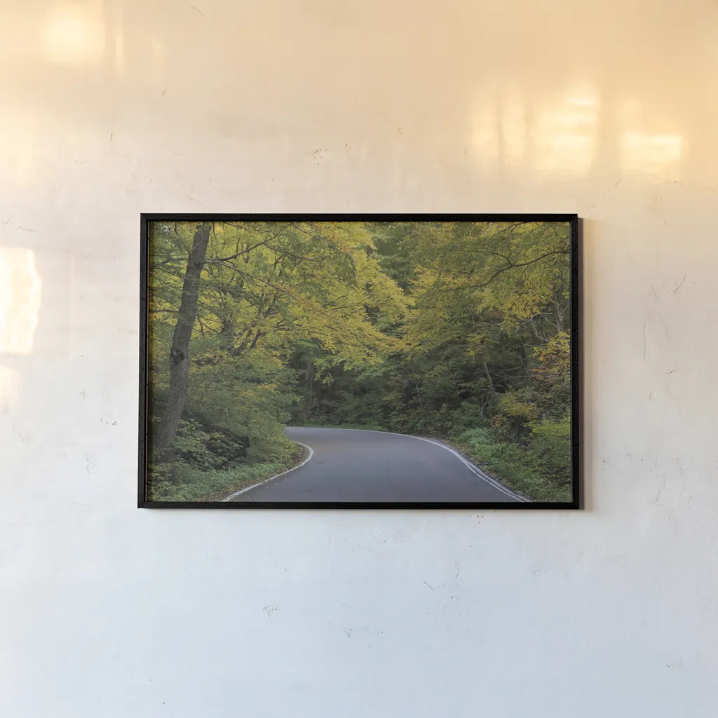 Smugglers Notch Road by Alan Majchrowicz. shown as a paper print in a black flame. Available as a archival giclee rolled canvas, fine art paper, or poster print. SKU 62467i.