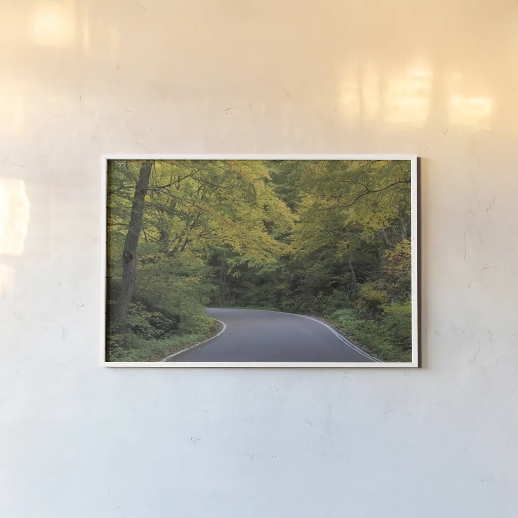Smugglers Notch Road by Alan Majchrowicz. shown as a paper print in a white frame. Available as a archival giclee rolled canvas, fine art paper, or poster print. SKU 62467i.