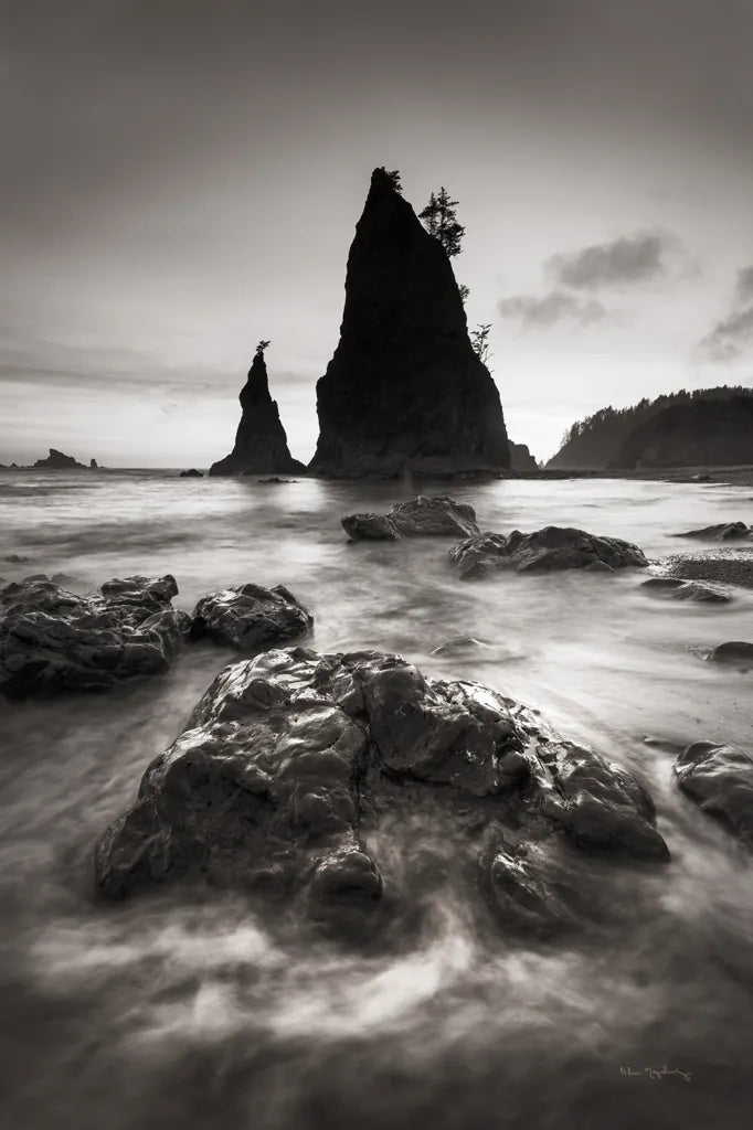 Split Rock Rialto Beach by Alan Majchrowicz. SKU 64548h. Archival Giclee Fine art print for wall decor.
