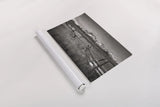 Stanley Basin Fence by Alan Majchrowicz. shown as a rolled paper print. Available as archival giclee rolled canvas, fine art paper, or poster print. SKU 64562i.