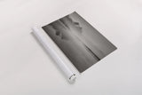 Stanley Lake Idaho BW by Alan Majchrowicz. shown as a rolled paper print. Available as archival giclee rolled canvas, fine art paper, or poster print. SKU 81457i.