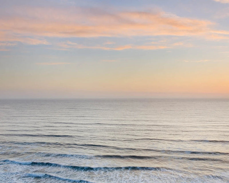 Sunset on Redwoods Coast I Crop by Alan Majchrowicz