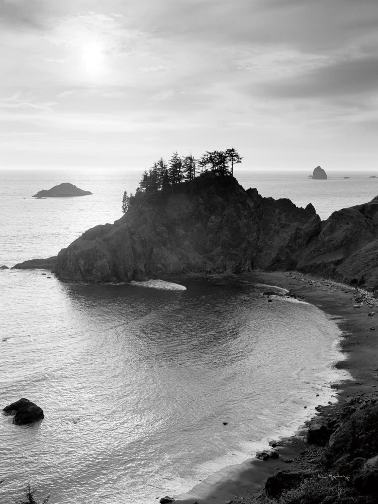 Sunset over Oregon Coast by Alan Majchrowicz