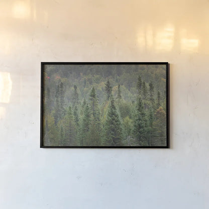 Superior National Forest I by Alan Majchrowicz. shown as a paper print in a black flame. Available as a archival giclee rolled canvas, fine art paper, or poster print. SKU 52753i.