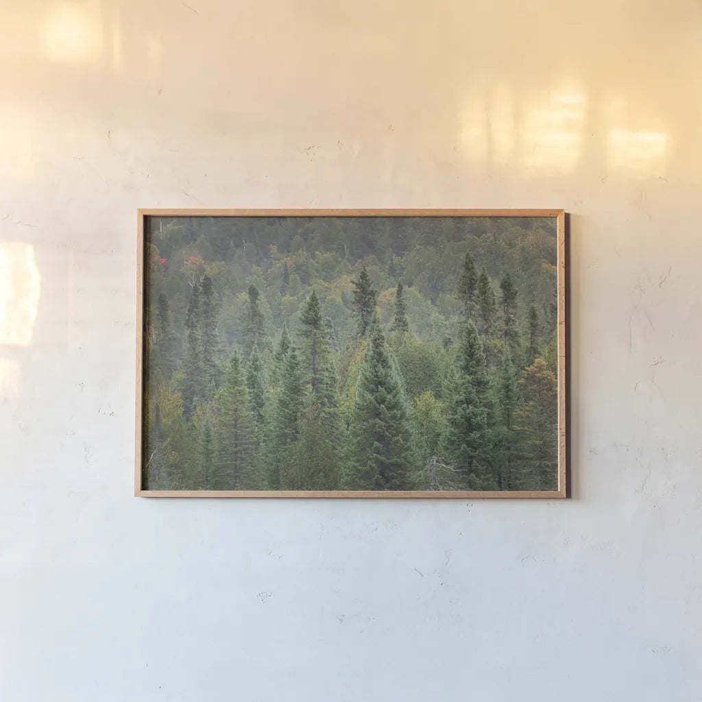 Superior National Forest I by Alan Majchrowicz. shown as a paper print in a natural frame. Available as a archival giclee rolled canvas, fine art paper, or poster print. SKU 52753i.