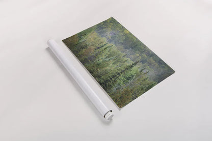 Superior National Forest II by Alan Majchrowicz. shown as a rolled paper print. Available as archival giclee rolled canvas, fine art paper, or poster print. SKU 52754i.