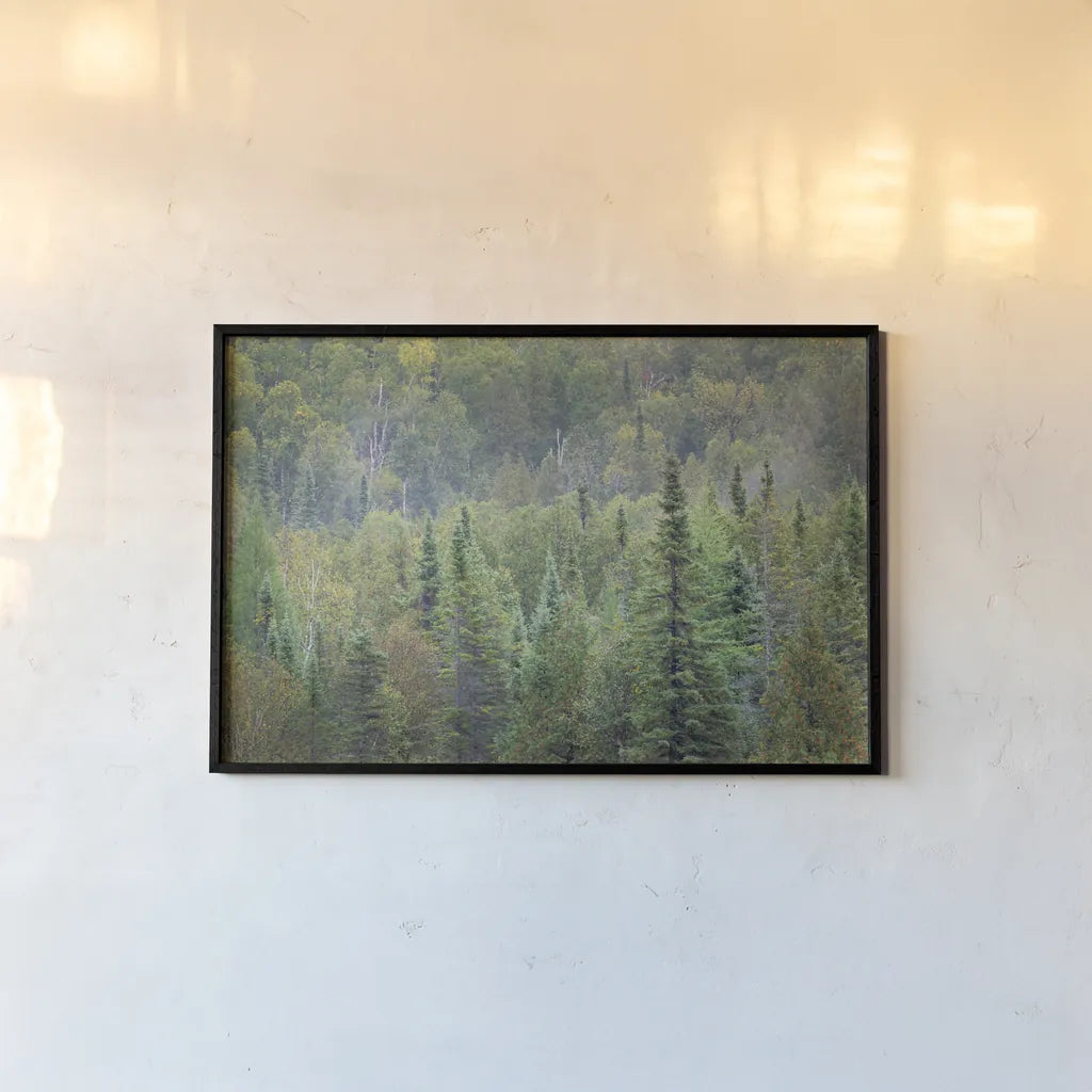 Superior National Forest II by Alan Majchrowicz. shown as a paper print in a black flame. Available as a archival giclee rolled canvas, fine art paper, or poster print. SKU 52754i.