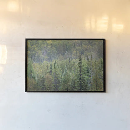 Superior National Forest II by Alan Majchrowicz. shown as a paper print in a black flame. Available as a archival giclee rolled canvas, fine art paper, or poster print. SKU 52754i.