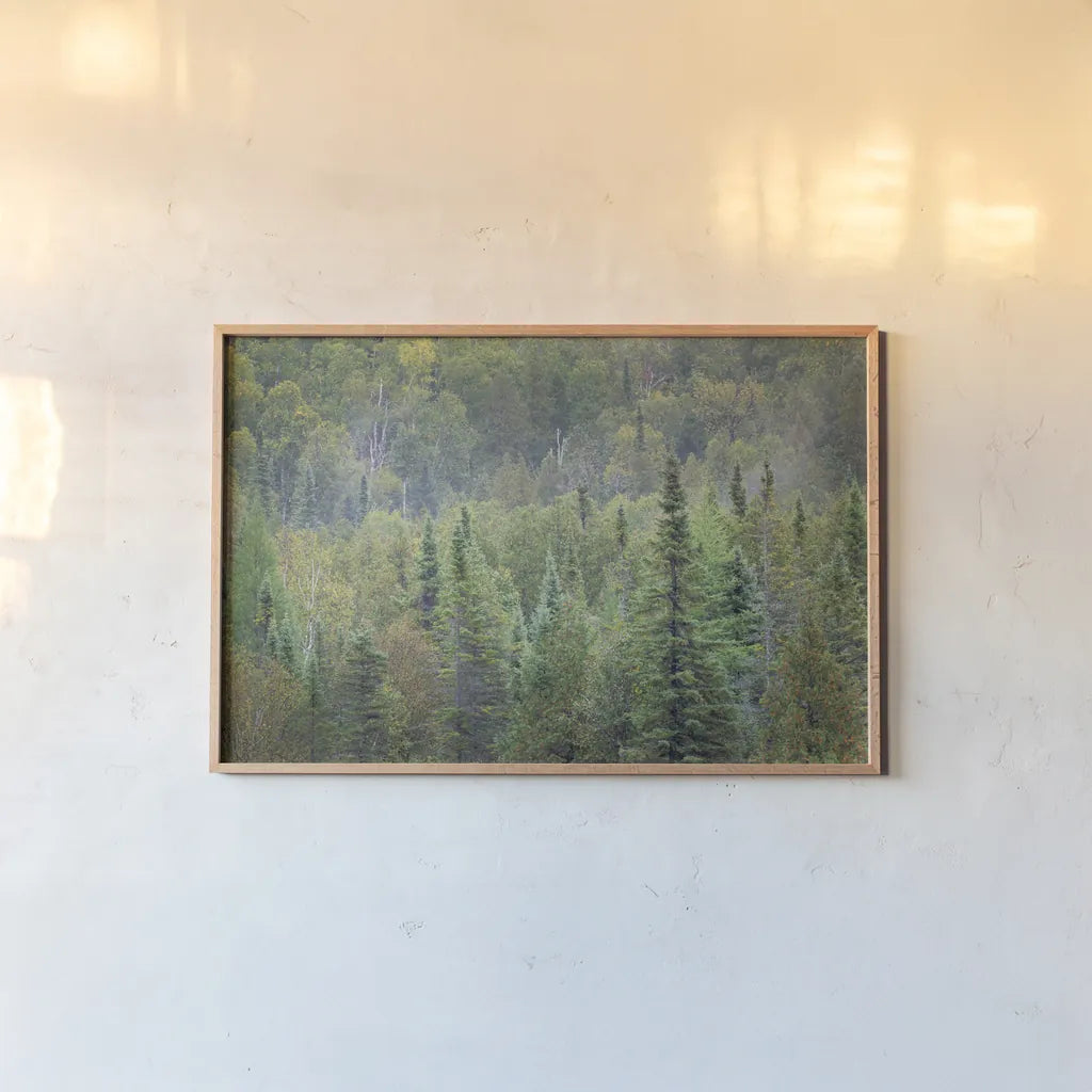 Superior National Forest II by Alan Majchrowicz. shown as a paper print in a natural frame. Available as a archival giclee rolled canvas, fine art paper, or poster print. SKU 52754i.