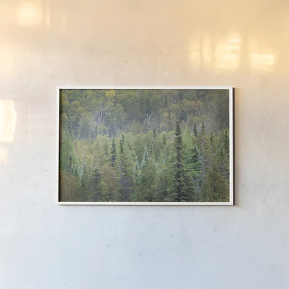 Superior National Forest II by Alan Majchrowicz. shown as a paper print in a white frame. Available as a archival giclee rolled canvas, fine art paper, or poster print. SKU 52754i.