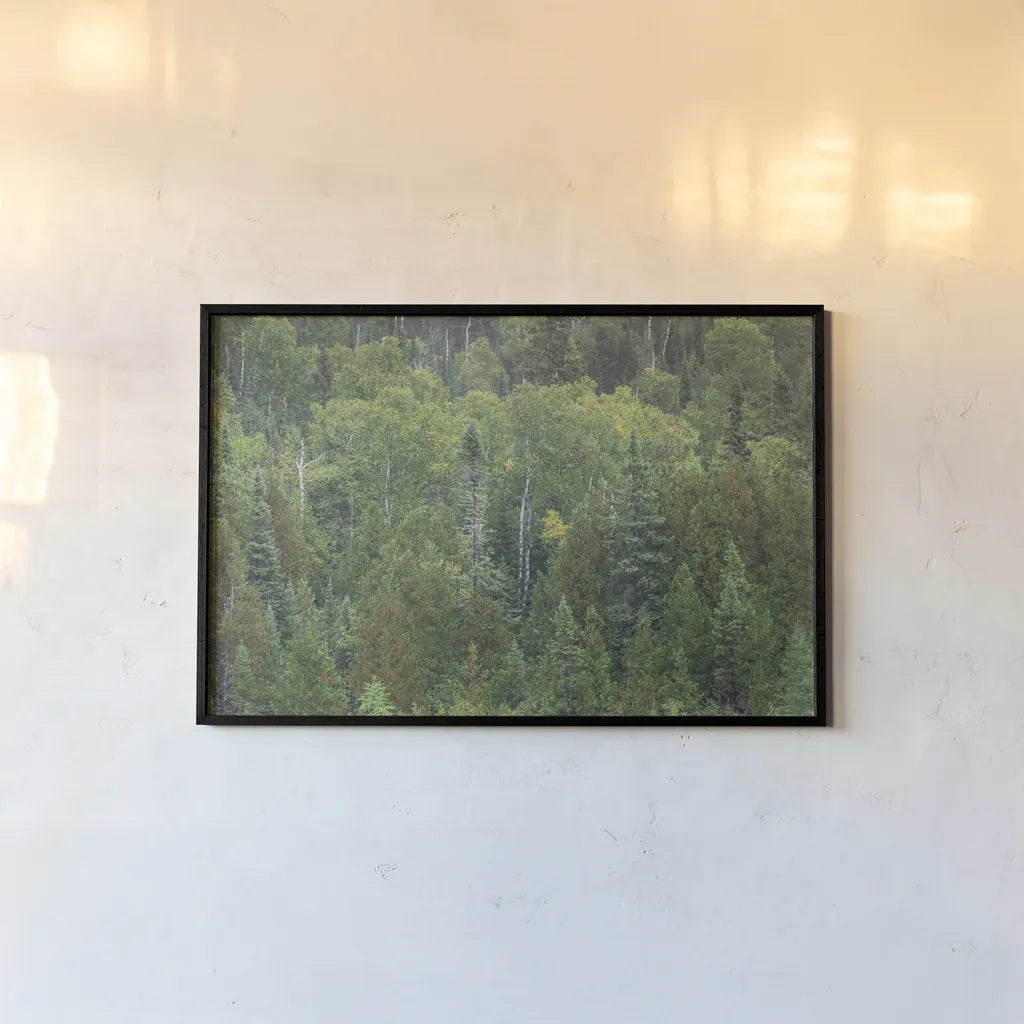 Superior National Forest III by Alan Majchrowicz. shown as a paper print in a black flame. Available as a archival giclee rolled canvas, fine art paper, or poster print. SKU 52755i.