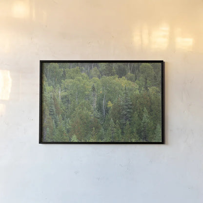 Superior National Forest III by Alan Majchrowicz. shown as a paper print in a black flame. Available as a archival giclee rolled canvas, fine art paper, or poster print. SKU 52755i.