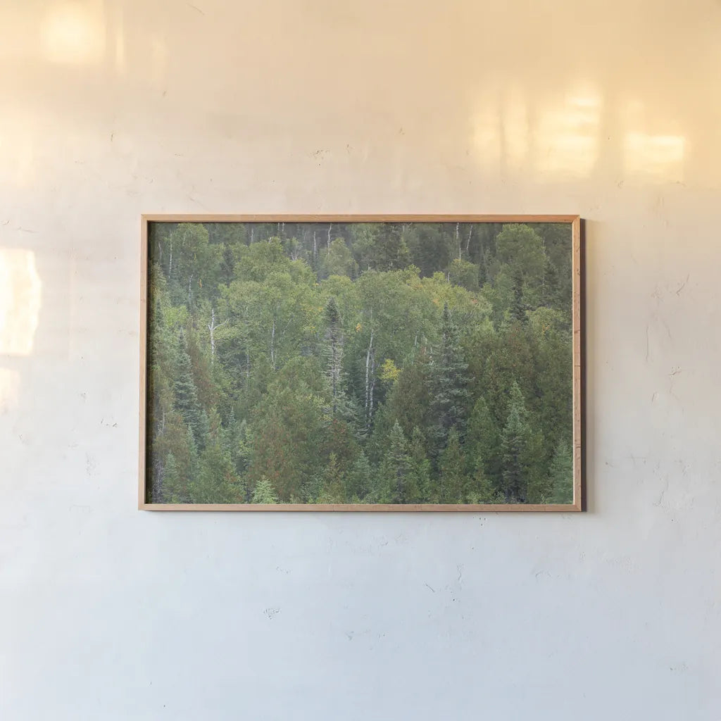 Superior National Forest III by Alan Majchrowicz. shown as a paper print in a natural frame. Available as a archival giclee rolled canvas, fine art paper, or poster print. SKU 52755i.